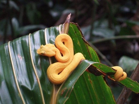 Cahuita National Park